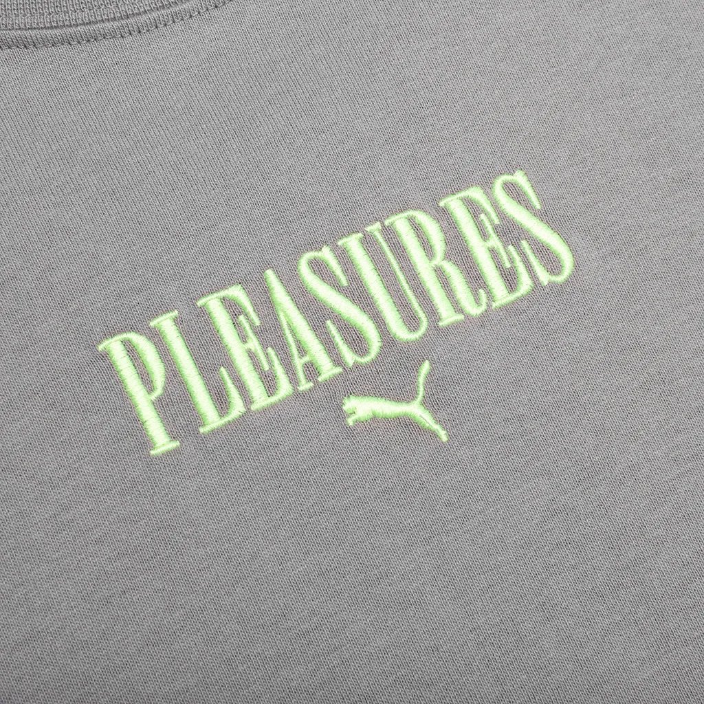 Puma x Pleasures Graphic Tee - Stormy Slate